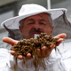 A beekeeper holds dead bees from a colony collapse incident at a protest against the merger of Germany's pharmaceutical and chemical maker Bayer AG with Monsanto.